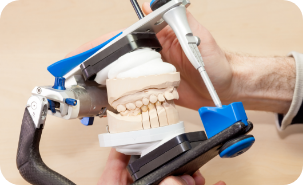 Person holding a model of the teeth in an adjustment device
